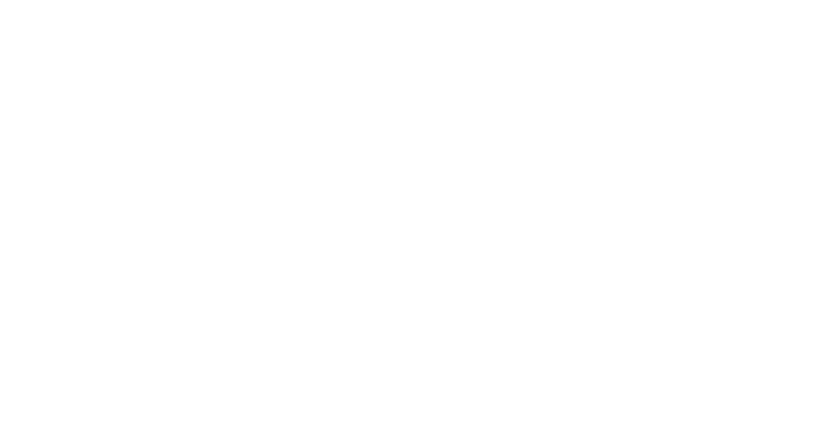 sofftshoes