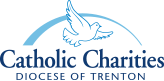 Project Free logo