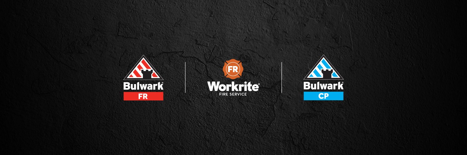 Bulwark Protection Logo & Brand Assets (SVG, PNG and vector) Brandfetch